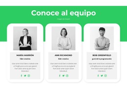 Conoce A Nuestros Expertos Plantilla Limpia Y Minimalista