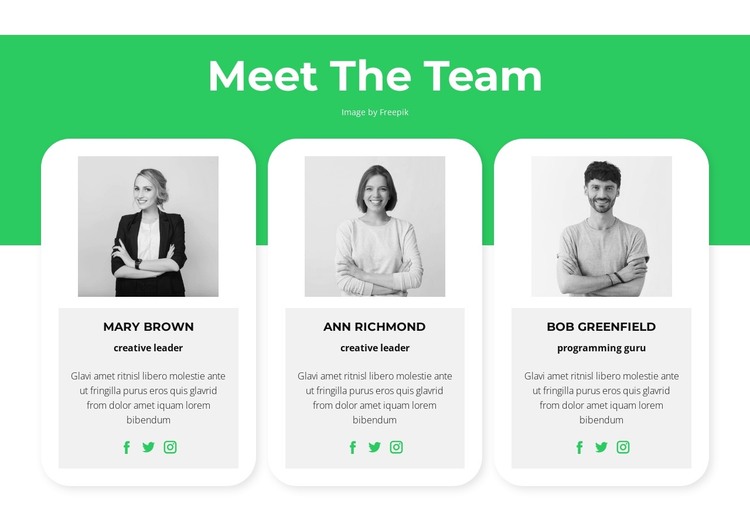 Meet our experts HTML Template