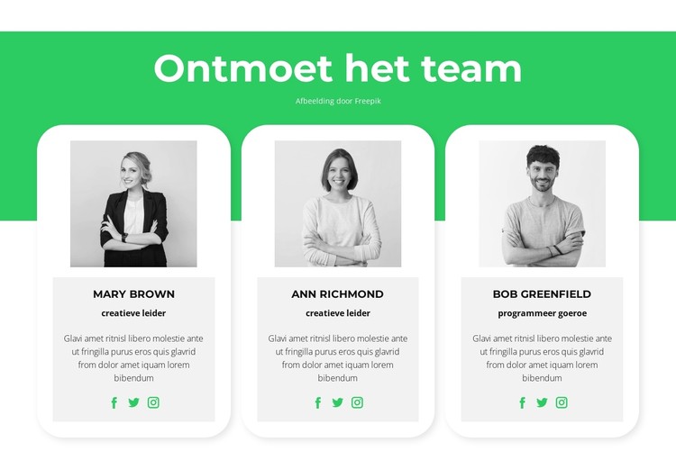 Ontmoet onze experts CSS-sjabloon