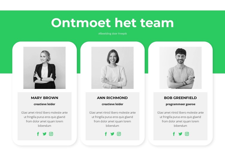 Ontmoet onze experts HTML-sjabloon