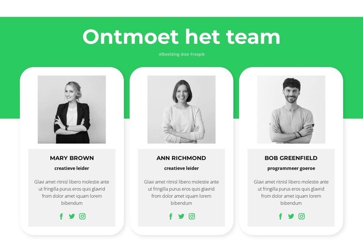 Ontmoet onze experts Sjabloon voor één pagina