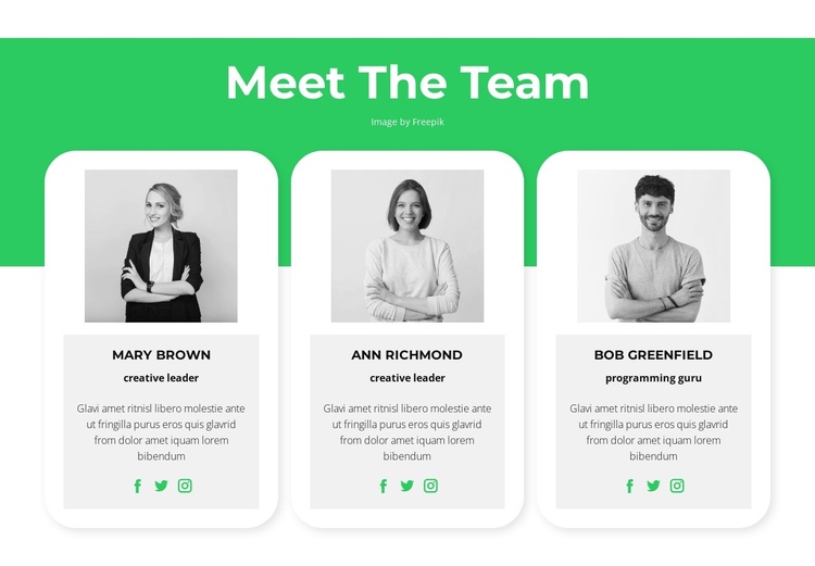 Meet our experts One Page Template