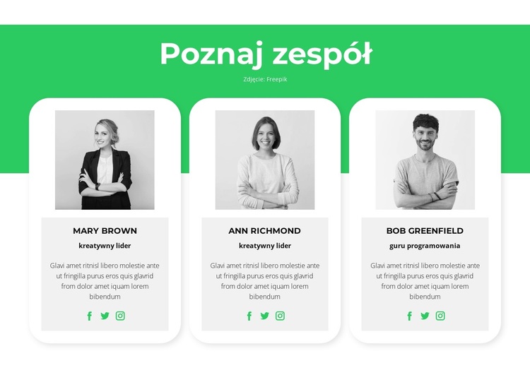 Poznaj naszych ekspertów Motyw WordPress