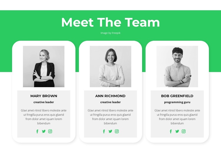 Meet our experts Template
