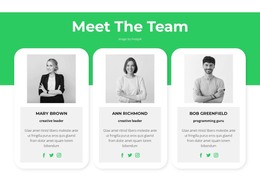 Meet our experts - WordPress Theme by Nicepage