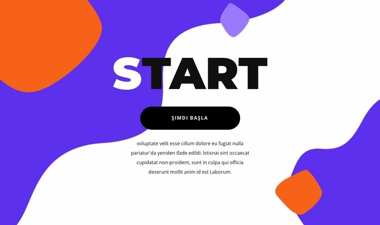 Projenin lansmanı Web sitesi tasarımı