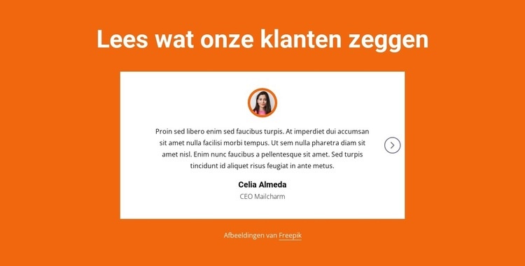 Testimonials blok met slider Website ontwerp