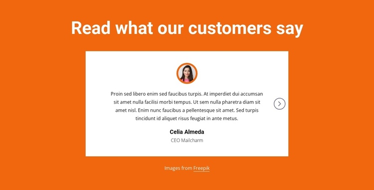 Testimonials block with slider One Page Template