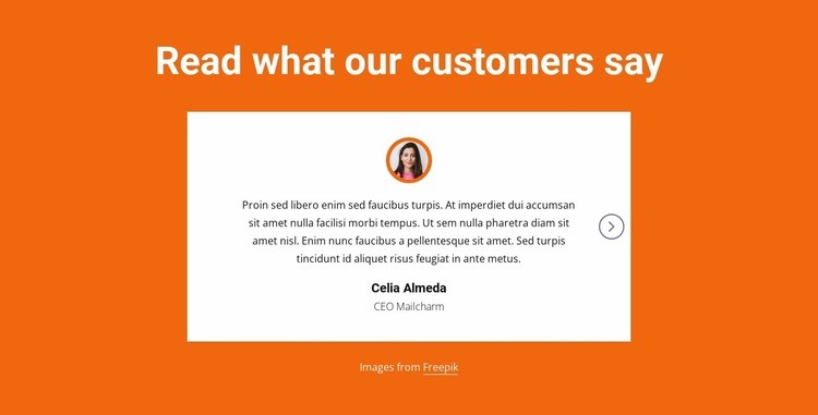 Testimonials block with slider Webflow Template Alternative