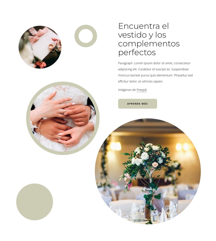 Vestido y complementos perfectos Tema de WordPress