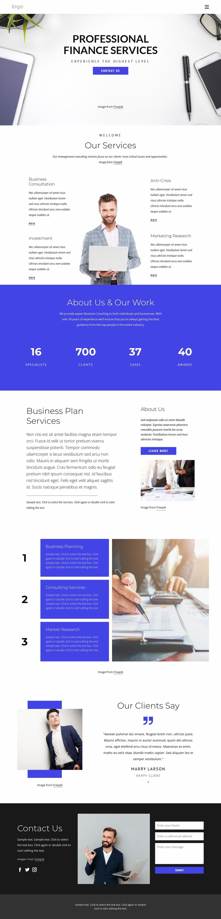 Professional finance services Website Design