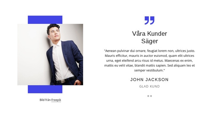 Våra kunder säger WordPress -tema