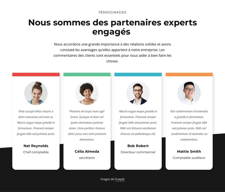 Conseil des partenaires experts Modèles de constructeur de sites Web