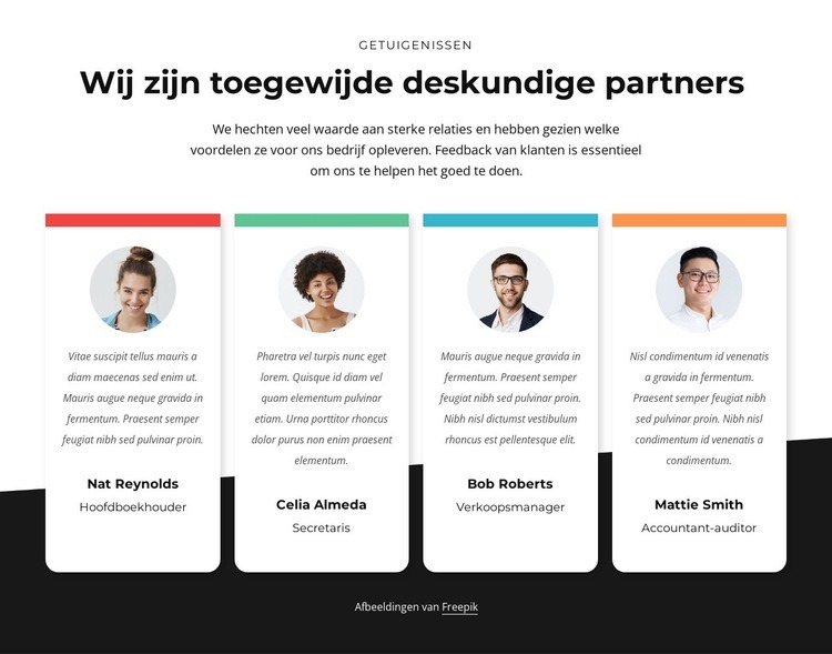 Deskundige partners raadplegen Website ontwerp