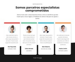 Consultoria De Parceiros Especializados – Maquete Responsiva