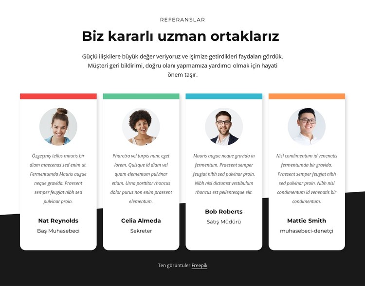 Uzman ortaklar danışmanlığı CSS Şablonu