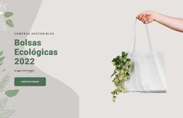 Mejor Sitio Web Para Bolsas Ecológicas