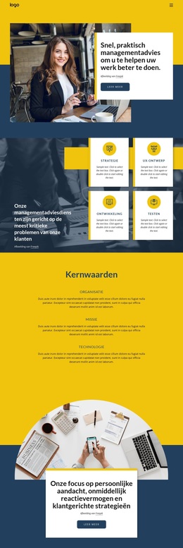 Bedrijfsadviesbureau - Exclusief WordPress-Thema