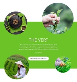 Thé Vert - Modèles De Sites Web