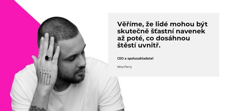 Pozitivní zpětná vazba Téma WordPress