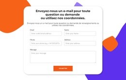 Remplir Le Formulaire - Modèle De Maquette De Site Web