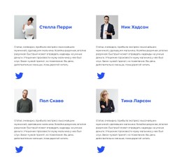 Найдите Нас В Твиттере Шаблон CSS