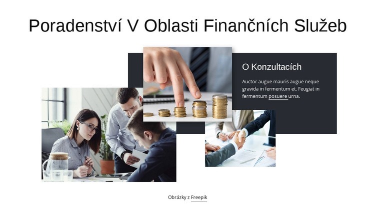 Poradenství v oblasti finančních služeb Téma WordPress