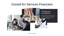Conseil En Services Financiers : Modèle De Site Web Simple