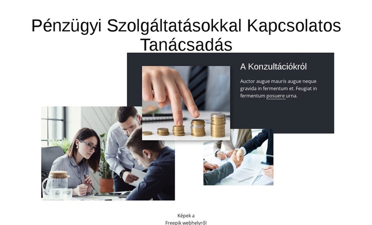 Pénzügyi szolgáltatásokkal kapcsolatos tanácsadás CSS sablon