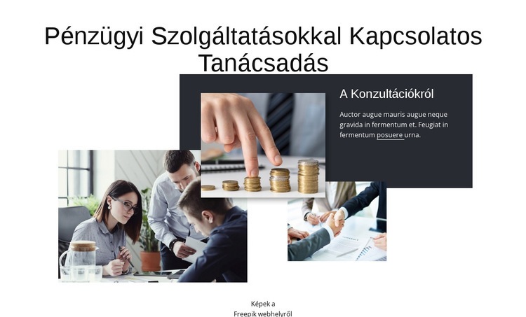 Pénzügyi szolgáltatásokkal kapcsolatos tanácsadás Sablon