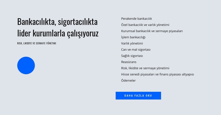 Finansal Yönetim Web Sitesi Oluşturucu Şablonları