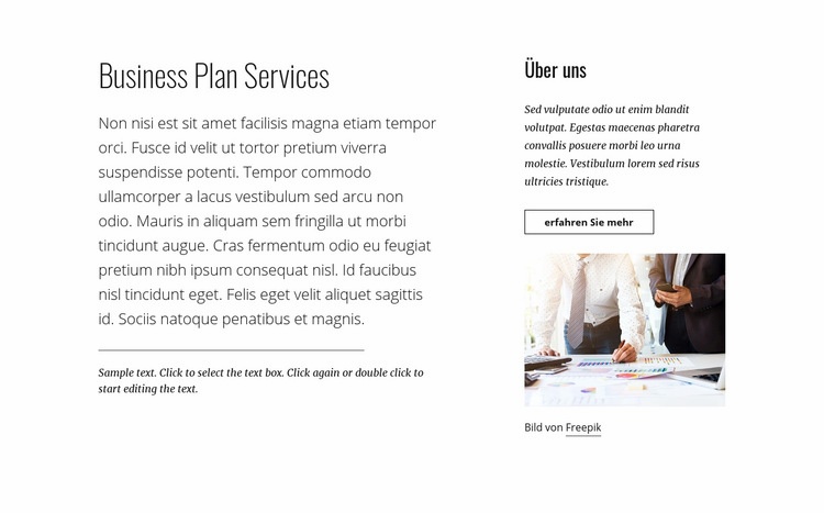 Businessplan-Dienstleistungen Website design