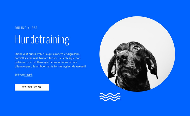 Hundetraining online Website-Vorlage