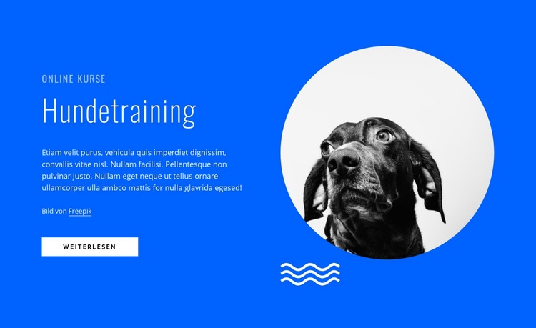 Hundetraining online Landing Page