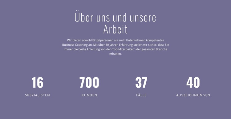 Über Unternehmensberatung Landing Page