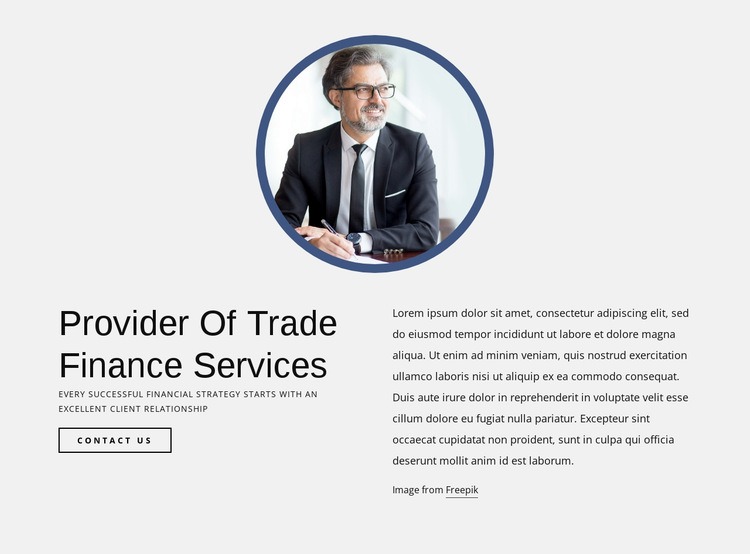 Provider of trade finance services Elementor Template Alternative
