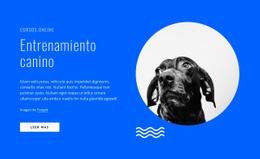 Cursos De Adiestramiento Canino En Línea