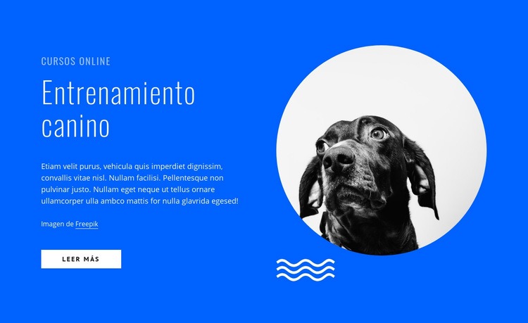 Cursos de adiestramiento canino en línea Plantillas de creación de sitios web