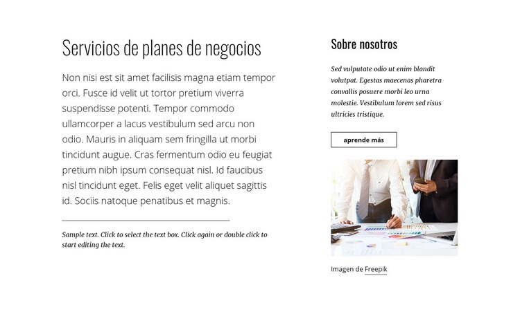 Servicios de planes de negocios Plantillas de creación de sitios web