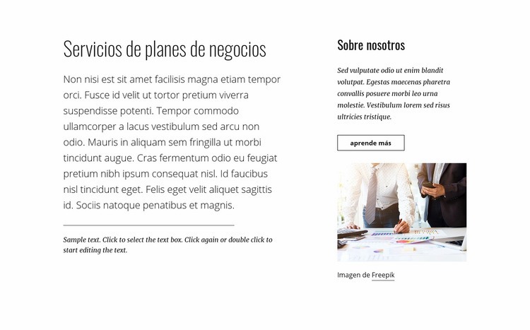 Servicios de planes de negocios Maqueta de sitio web