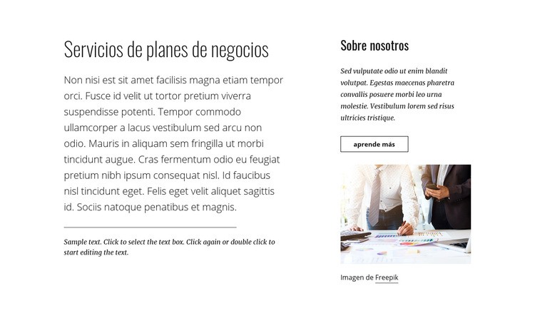 Servicios de planes de negocios Plantilla HTML5