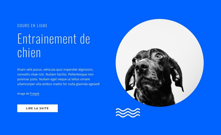 Cours de dressage de chiens en ligne Conception de site Web