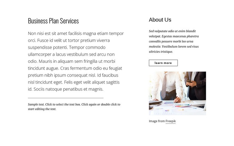 Business plan services Homepage Design