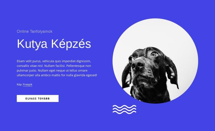 Kutya tanfolyamok online Weboldal tervezés