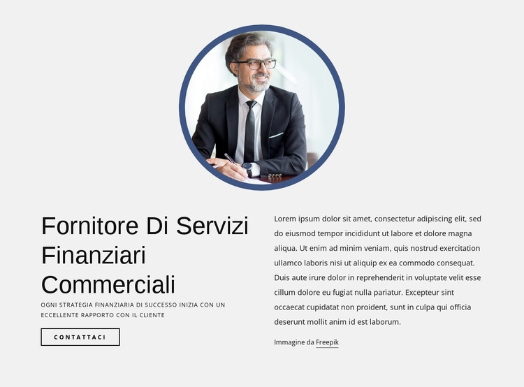 Fornitore di servizi di finanziamento al commercio Costruttore di siti web HTML