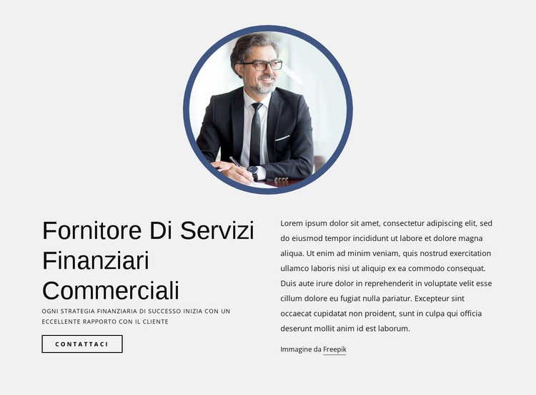 Fornitore di servizi di finanziamento al commercio Modelli di Website Builder