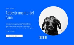 Corsi Di Addestramento Per Cani Online