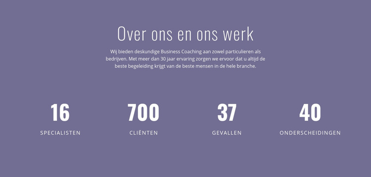 Over zakelijk advies WordPress-thema