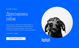 Курсы Дрессировки Собак Онлайн – Шаблон HTML-Страницы