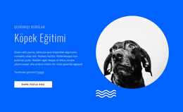 Çevrimiçi Köpek Eğitim Kursları - HTML Sayfası Şablonu